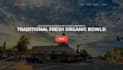 develop professional website using html css and javascript