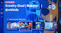 develop, fix, or publish your roku TV app