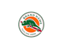 develop and revamp an awesome chameleon logo within 24 hours