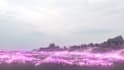 edit your music vidio and vfx so fast just 2 days