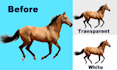 do photoshop background removal cut out images  clipping path