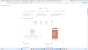 shopify speed optimization on pagespeed insights