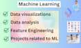 do feature engineering and data visualization