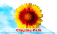 professional image editing, cut out photos, clipping path