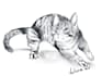 draw your very cute pet