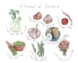 draw food sketching illustration