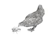 do custom illustrations, free hand drawing, services