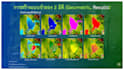 consult on hec ras 1dand2d modeling