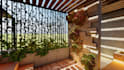 design landscape, backyard and front yard