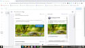 professionally create and manage facebook ads campaigns