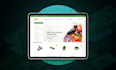 build, redesign responsive wordpress websites for your business