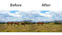 do photo editing, add remove object from photo