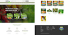 design a high converting wordpress woocommerce store