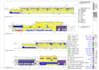 do construction cost estimation and material takeoff on bluebeam, planswift