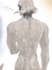 create wonderful illustrations for you