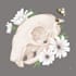 draw an animal and botanical illustration