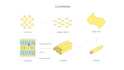 create scientific illustrations, diagrams and graphical abstracts