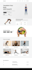 build responsive wordpress website design