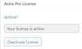 install elementor, astra pro, crocoblock, divi, wp rocket licenses