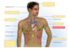 create anki flashcards and  enhancing medical mastery