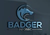 create a modern security and safety logo