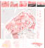 create architecture diagrams, analysis, and site mapping