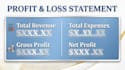 be your financial analyst, accountant, and prepare financial statements