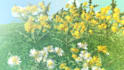 produce a blooming spring text 3d animation