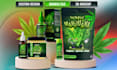launch trained packaging  cosmetic label design  expert