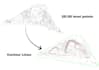 create a 3d realistic topography site model for your project