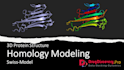 do protein modeling for docking and dynamics