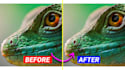 upscale or enlarge photo resolution with topaz gigapixel ai