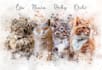 draw realistic watercolor pets