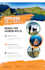 design your professional flyer or brochure