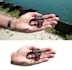 turn a photograph into a transparent sticker