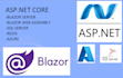 develop any kind of asp dot net web app