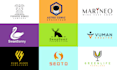 craft a professional minimalist logo for your business