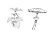 draw botanical illustration, flowers, fruits