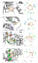 do molecular docking , molecular dynamic simulation,3d protein prediction