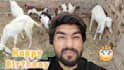wish happy birthday song with custom message