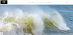recreate and maintain your website
