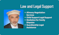 draft international divorce, child custody, and family law legal documents