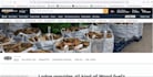 design and create professional amazon store for your brand