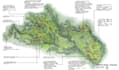 draw landscape plans, section and elevations