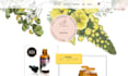 create your website on wix