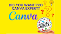 be your expert canva designer pro canva designes for social media