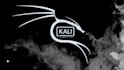 train you in cybersecurity using kali linux and windows