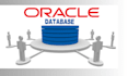 write sql queries, schema, erd, database  sql server, oracle