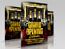 do birthday flyer, grand opening flyer, and any event flyer