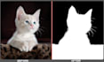do image masking and background removal service accurately